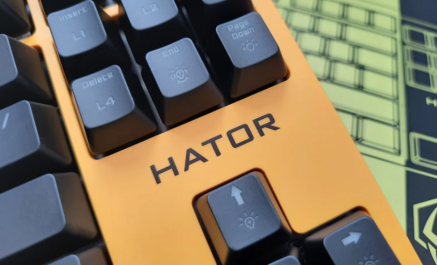 Обзор клавиатуры Hator Rockfall EVO TKL. Бюджетная оптическая клавиатура - фото 14