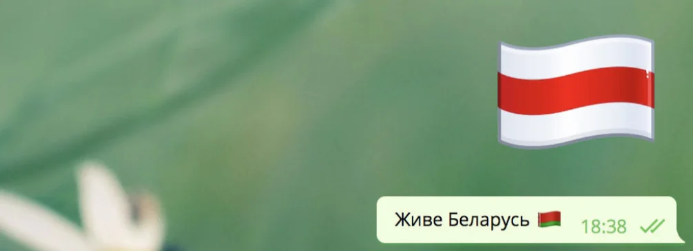 Telegram встал на сторону протестующих. Мессенджер меняет флаг Беларуси на бело-красно-белое полотно - фото 1