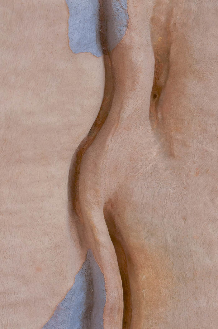 20 удивительных макроснимков победителей конкурса Macro Art Photography Awards - фото 5