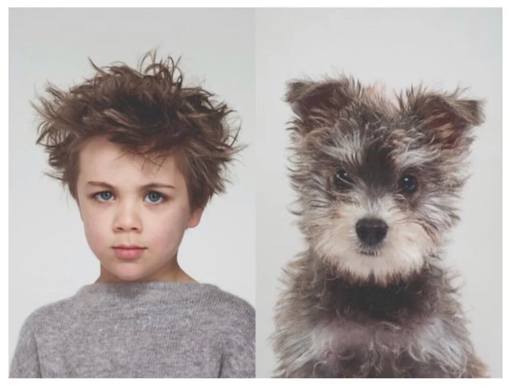 Фотограф делает снимки людей и собак, которые выглядят как двойники - фото 12