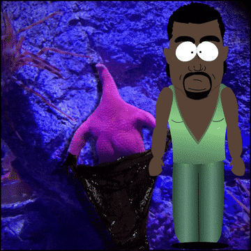 Патрик, это ты? В интернете завирусилось фото морской звезды, напоминающей героя «Губки Боба» - фото 8