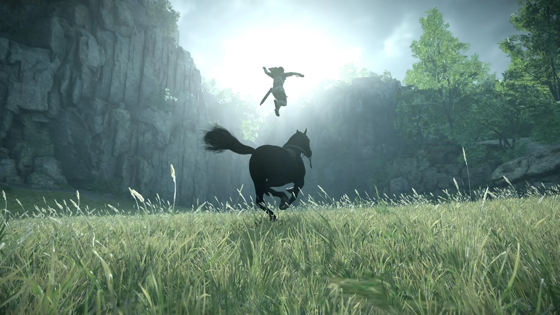 20 изумительных скриншотов Shadow of the Colossus для PS4 - фото 11