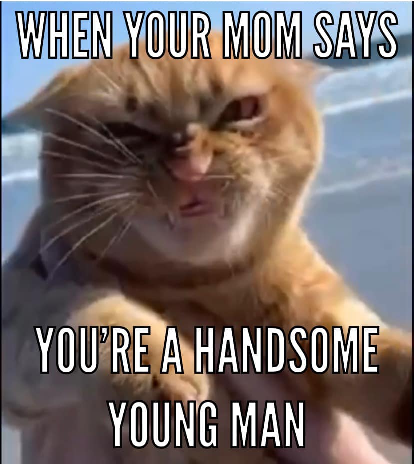 Недовольный рыжий кот стал звездой сети. Все из-за его ненависти к ветру - фото 7