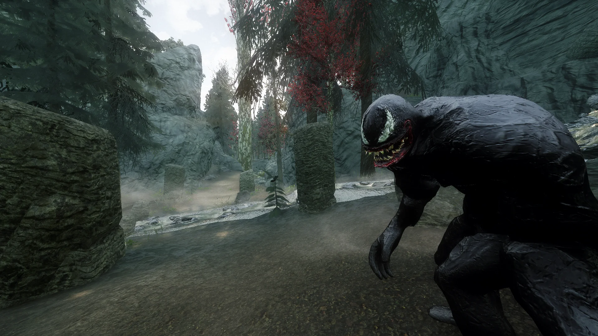 Моддер добавил в The Elder Scrolls V: Skyrim компаньона в виде Венома - фото 1