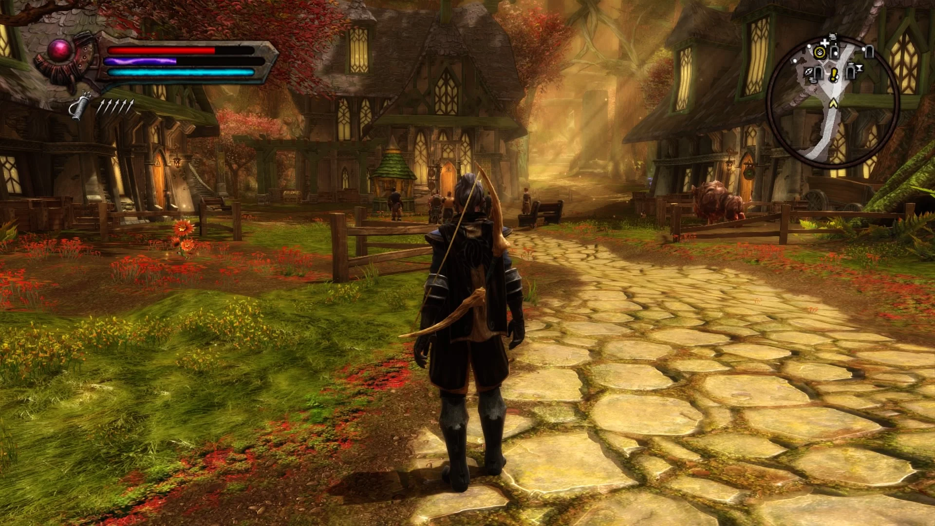 По полкам: Обзор Kingdoms of Amalur: Re-Reckoning — ремастера RPG от дизайнера Morrowind и Oblivion - фото 1