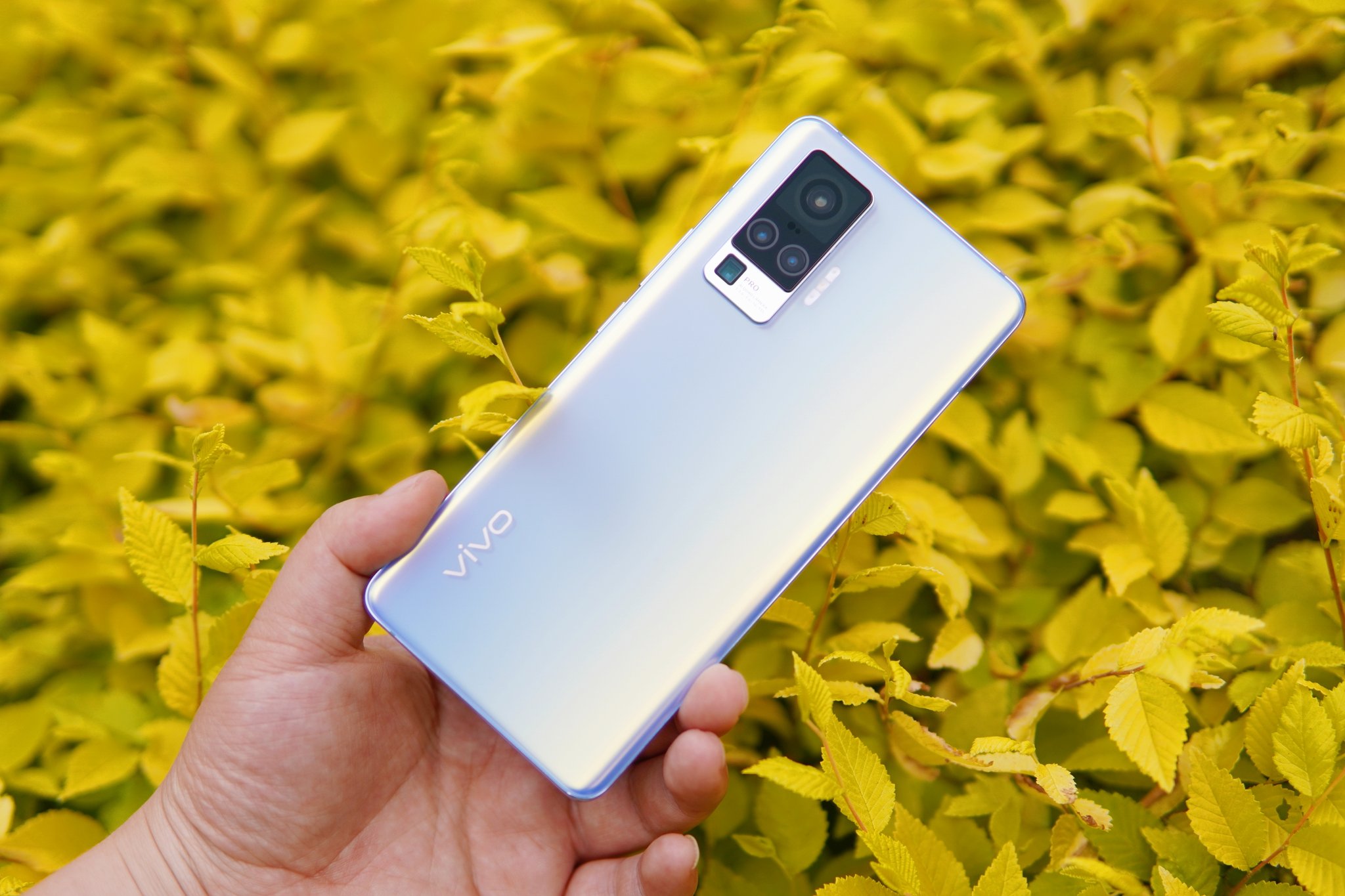 Представлена линейка топовых камерофонов Vivo X50 - фото 1
