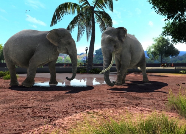 Хакеры взломали защиту Windows 10 UWP. В Zoo Tycoon Ultimate Animal Collection нашли 5 (!) слоев DRM - изображение 1 Хакеры взломали защиту Windows 10 UWP. В Zoo Tycoon Ultimate Animal Collection нашли 5 (!) слоев DRM - фото 1