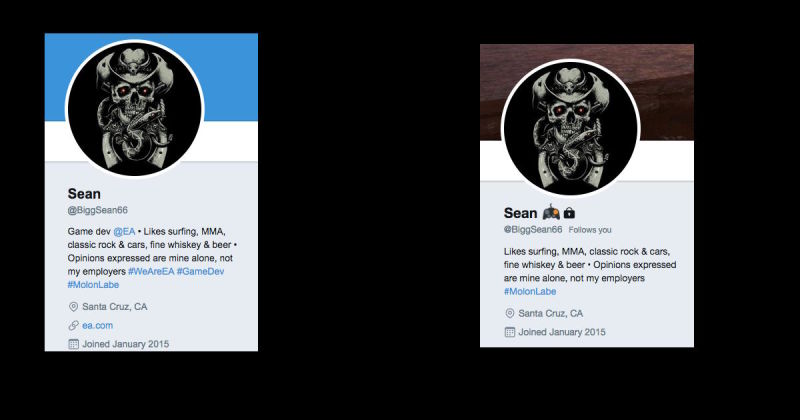 Расследование Kotaku. Получавший смертельные угрозы разработчик из EA — самозванец? - изображение 4 Расследование Kotaku. Получавший смертельные угрозы разработчик из EA — самозванец? - фото 4