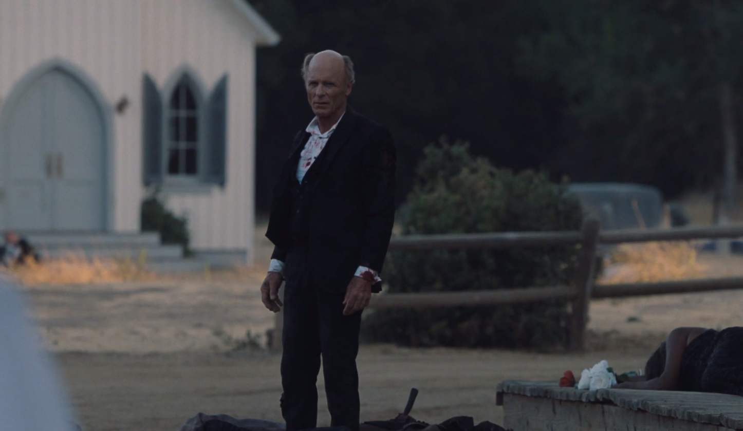 Подробный анализ 1 серии 2 сезона «Мира Дикого Запада» - фото 2