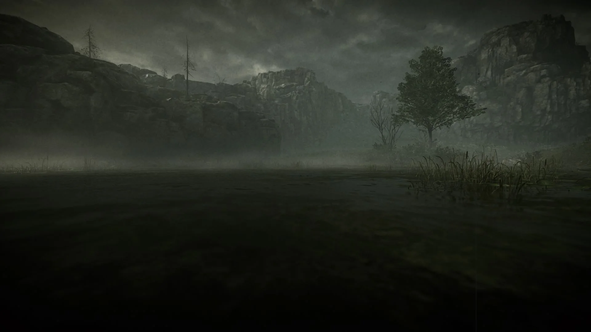 20 изумительных скриншотов Shadow of the Colossus для PS4 - фото 9