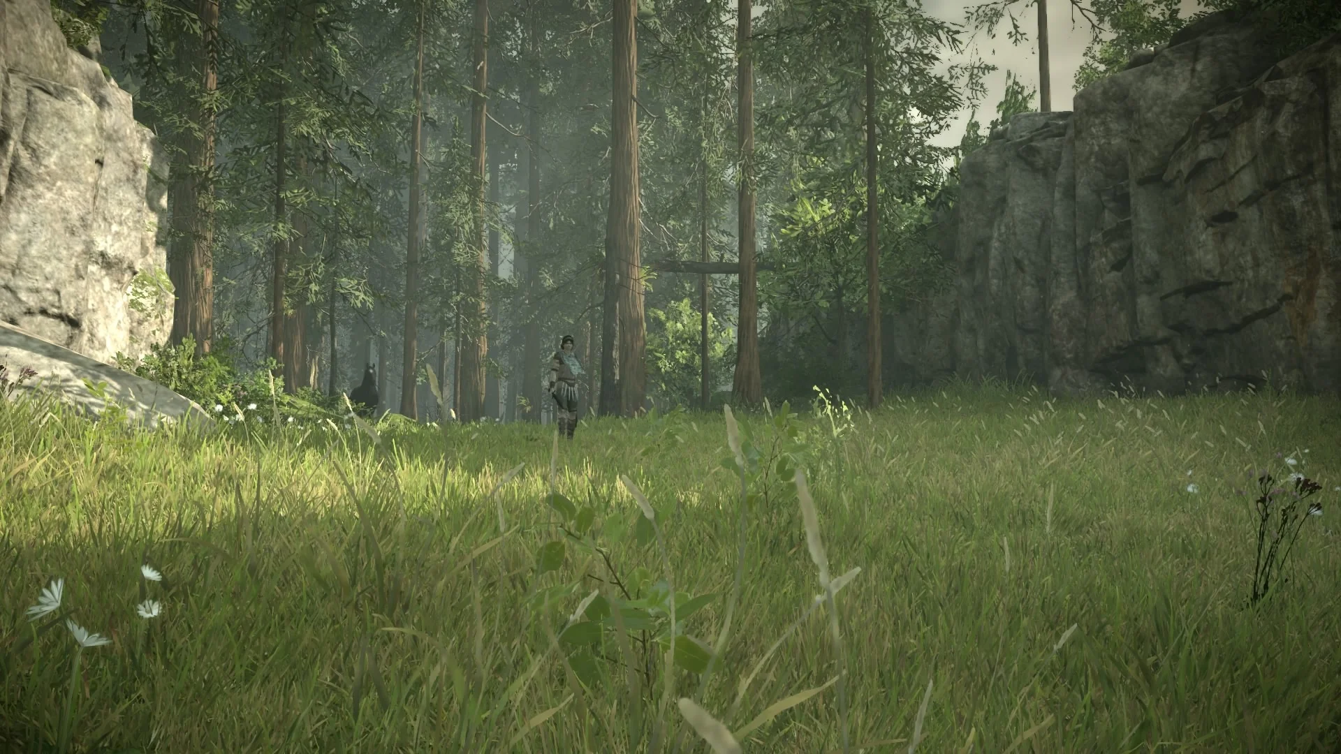 20 изумительных скриншотов Shadow of the Colossus для PS4 - фото 14