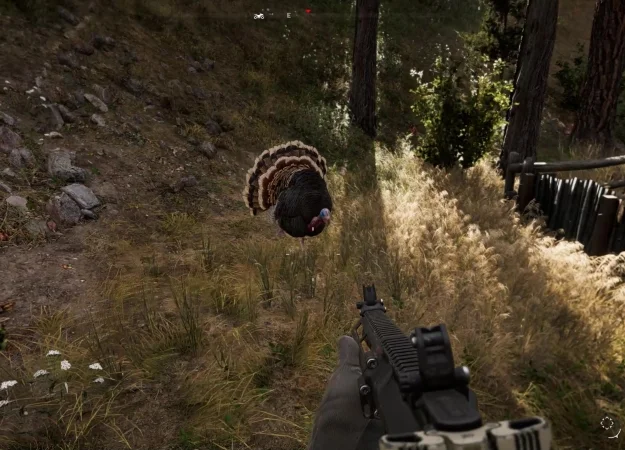 Индюки в Far Cry 5 оказались слишком опасными! Будьте осторожны! - фото 1
