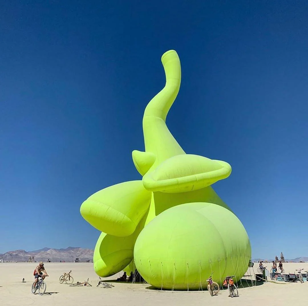 Как прошел Burning Man 2019 в фотографиях - фото 9