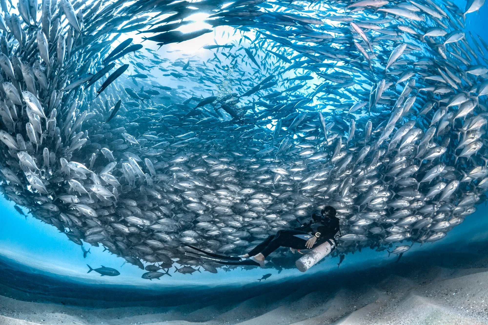 30 завораживающих фотографий подводного мира - фото 4