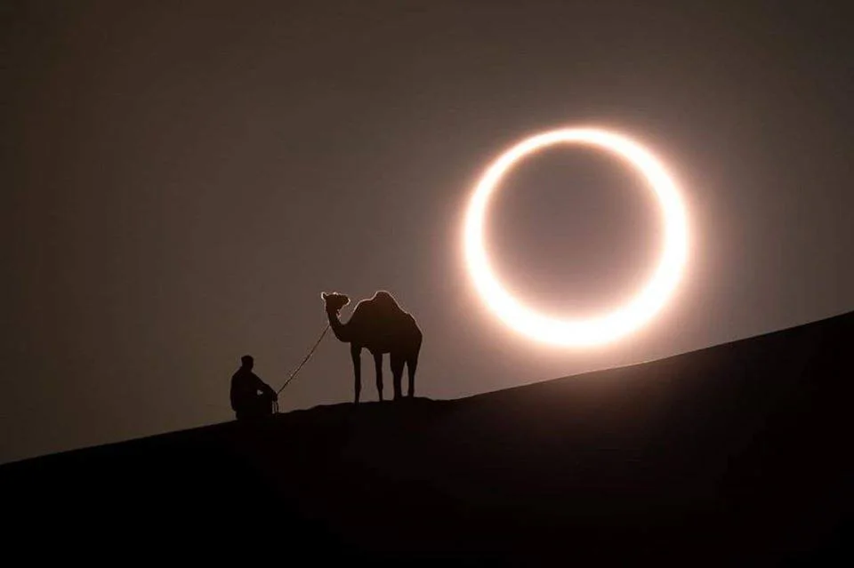 15 удивительных фотографий последнего солнечного затмения в 2019 году - фото 14