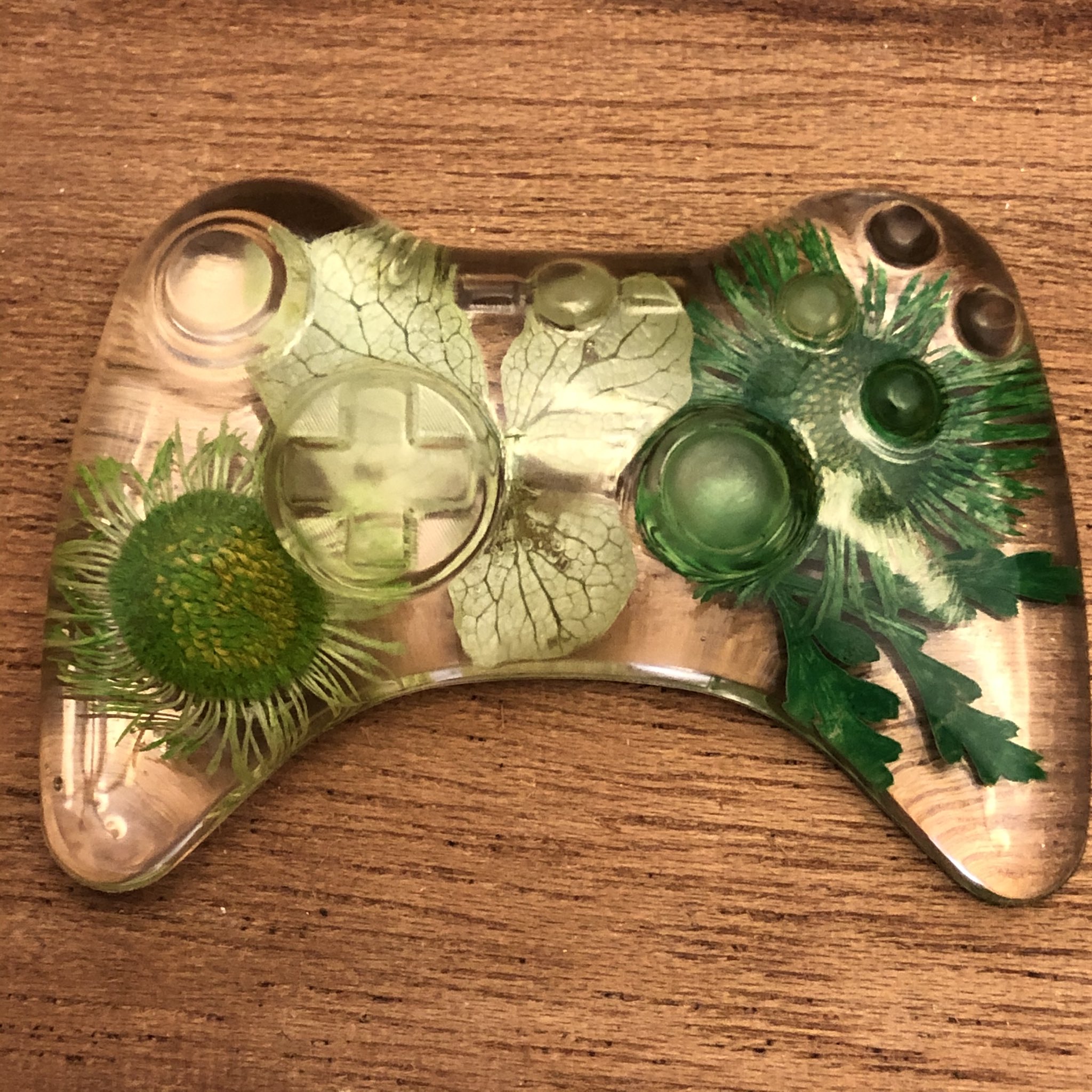 Девушка сделала декоративные прозрачные геймпады с цветами внутри - фото 1