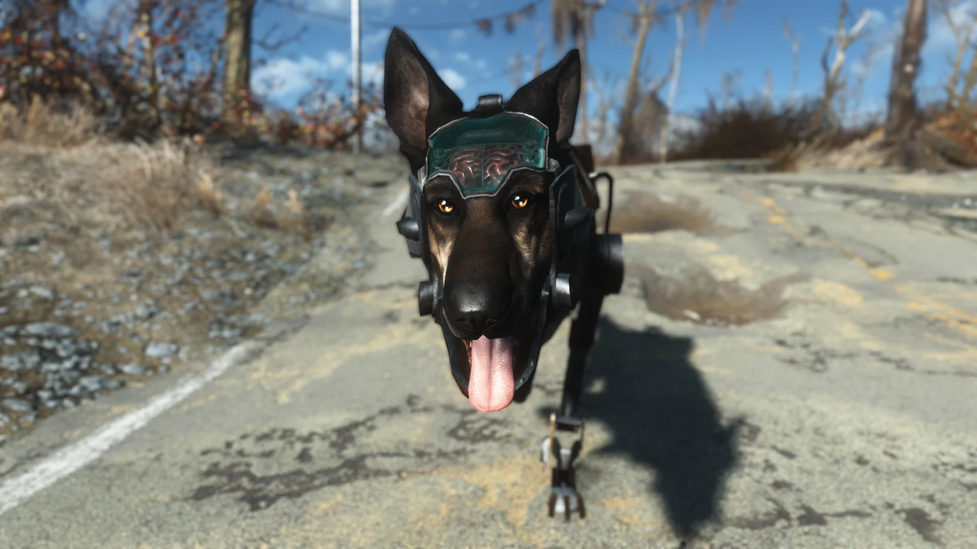 Моддер перенес киберпса Рекса из Fallout: New Vegas в Fallout 4. Привет, старый друг! - фото 3