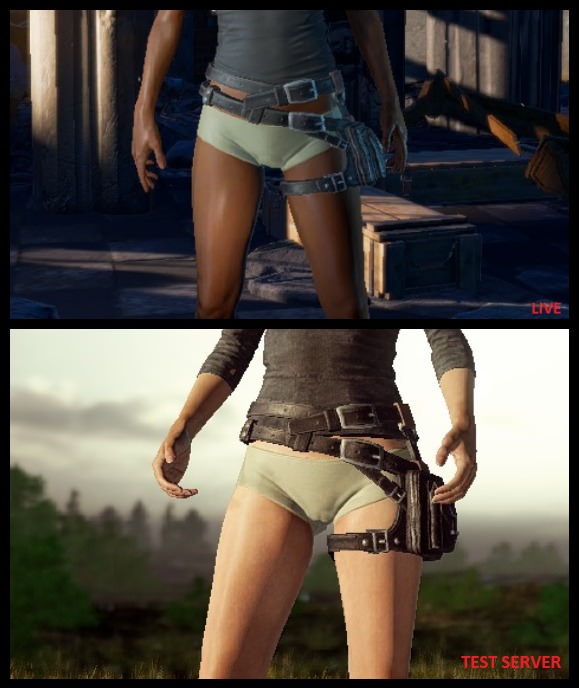 В PUBG исправят видимость женских половых органов - фото 1