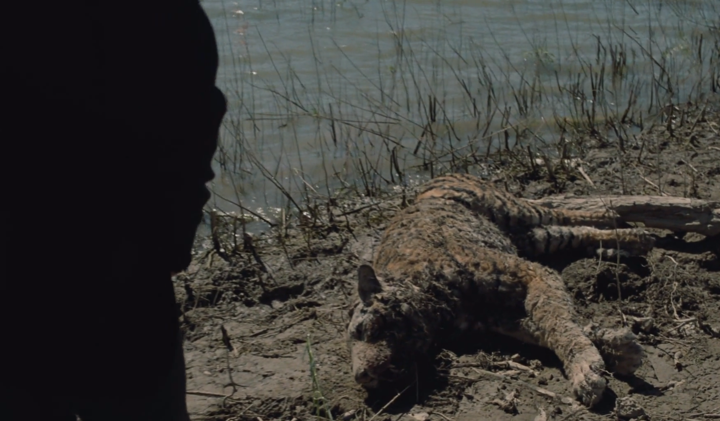 Спойлеры 1 серии 2 сезона «Мира Дикого Запада» - изображение 9 Спойлеры 1 серии 2 сезона «Мира Дикого Запада» - фото 9