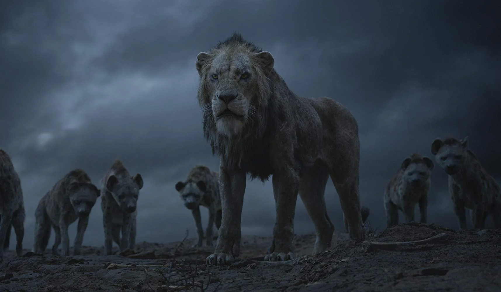 «Король Лев» 2019. Мнение Александра Трофимова - фото 4