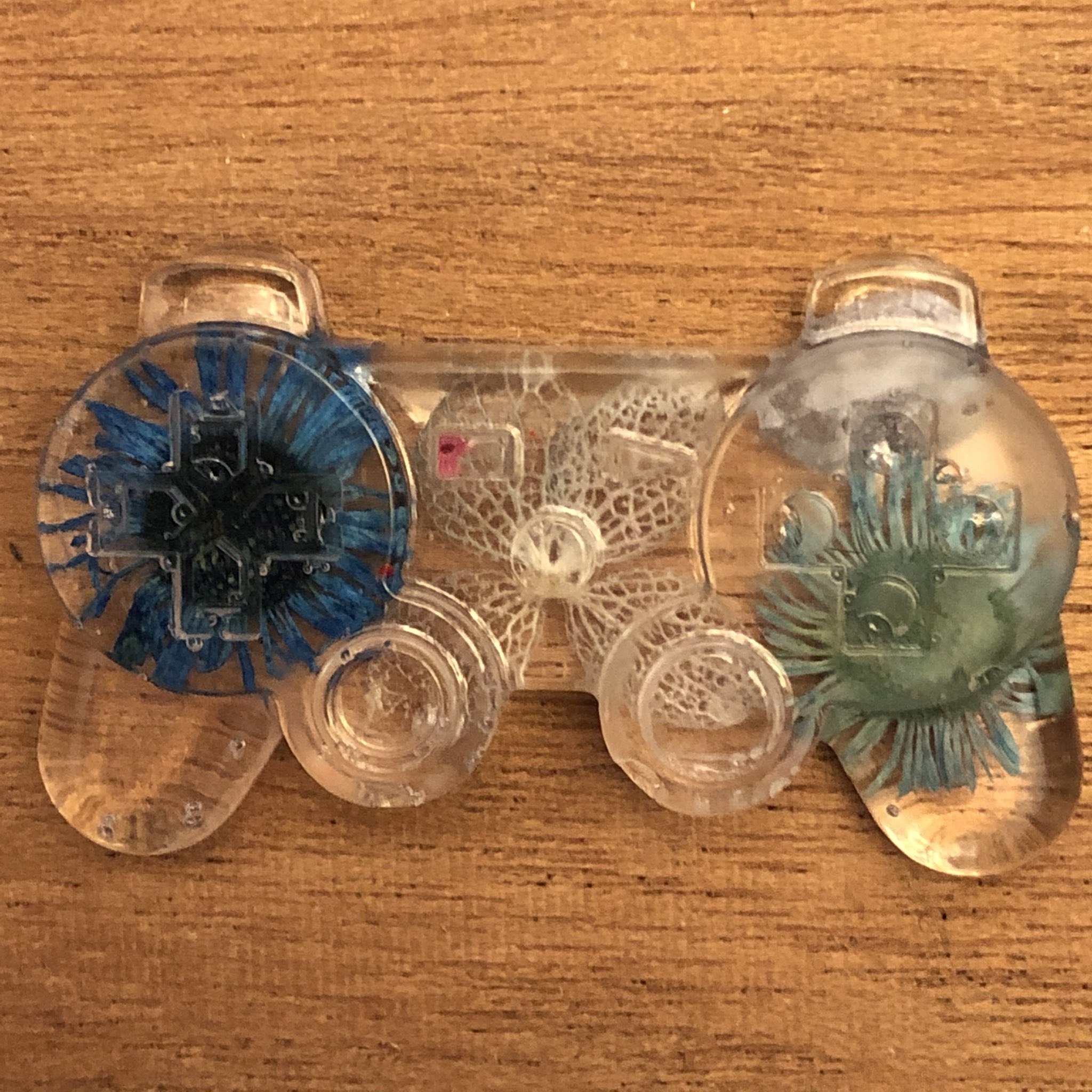 Девушка сделала декоративные прозрачные геймпады с цветами внутри - фото 3