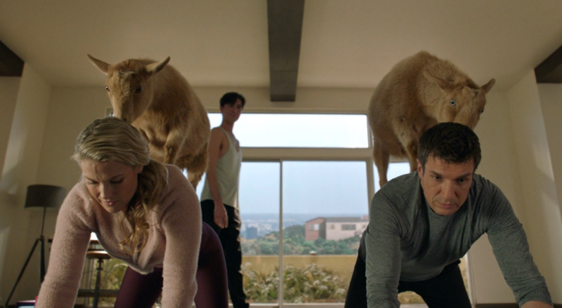 «Новичок» — один из самых сбалансированных сериалов про копов. Рецензия на второй сезон - изображение 3 «Новичок» — один из самых сбалансированных сериалов про копов. Рецензия на второй сезон - фото 3