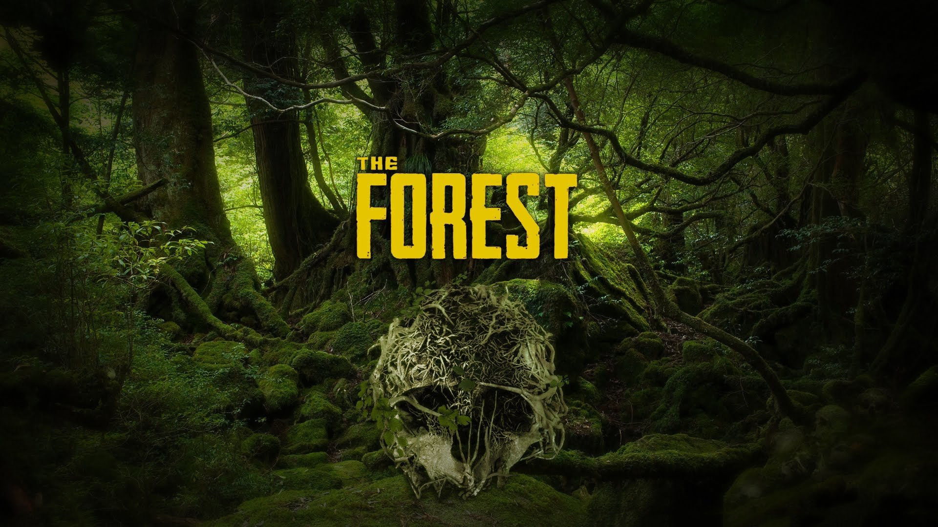 The Forest — записки из мертвого леса: игра вышла в Steam | Канобу