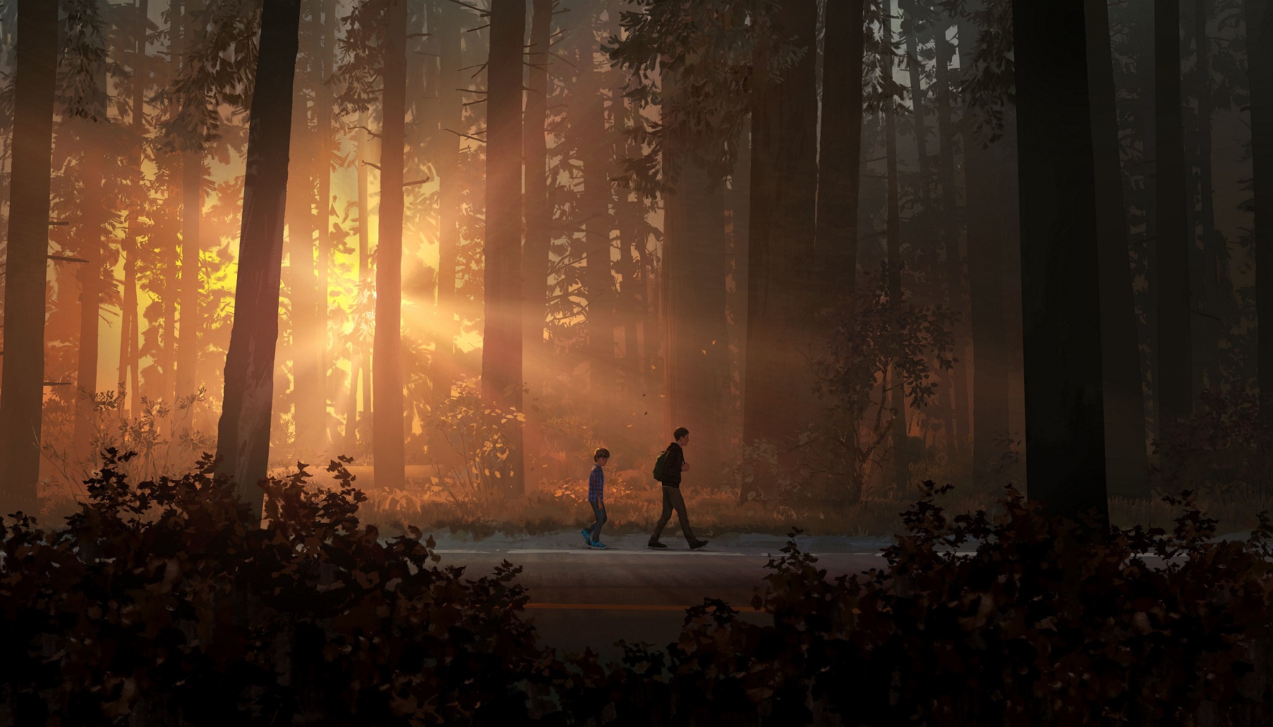 В рамках Gamescom 2018 впервые показали геймплей Life is Strange 2 — сразу в двух роликах и на отдельном мероприятии! Приятно, что Square Enix настолько ценит серию. Представили игру творческие директоры первого (а теперь и второго) сезона — Рауль Барбет и Мишель Кох. Я внимательно посмотрел ролик и еще внимательнее послушал Рауля и Мишеля. Теперь и мне есть, что рассказать об игре.