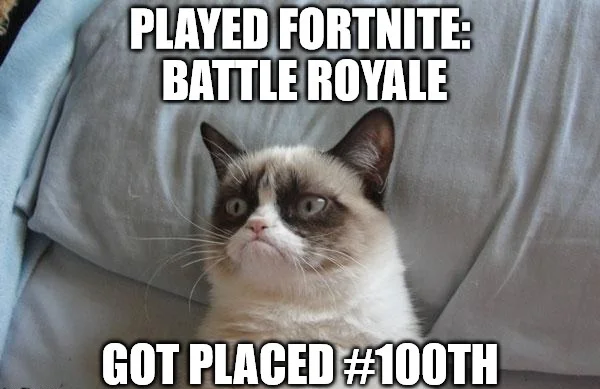 Сыграл в Fortnite: Battle Royale и занял сотое место.