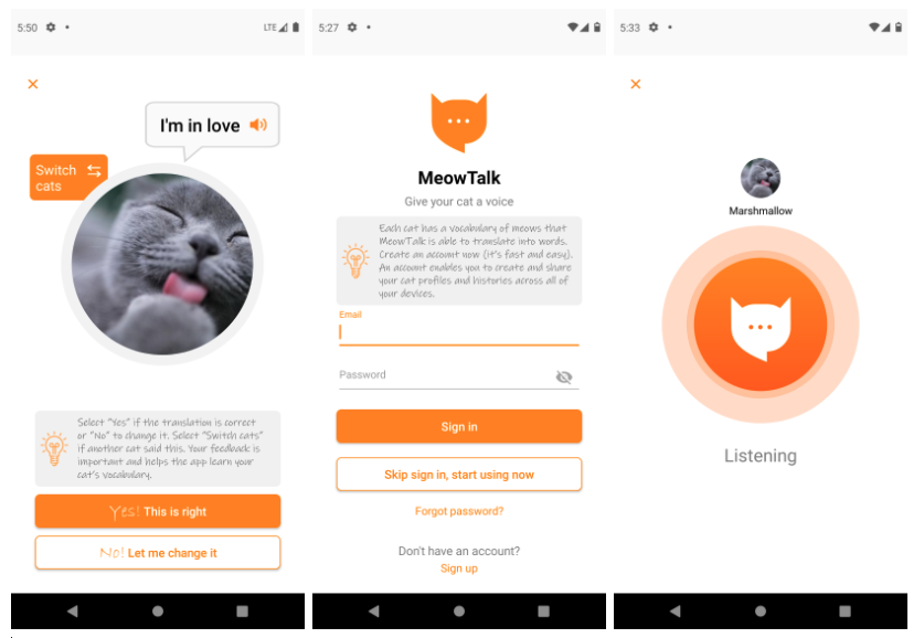 Бывший разработчик Amazon создал переводчик с кошачьего языка на английский - фото 1