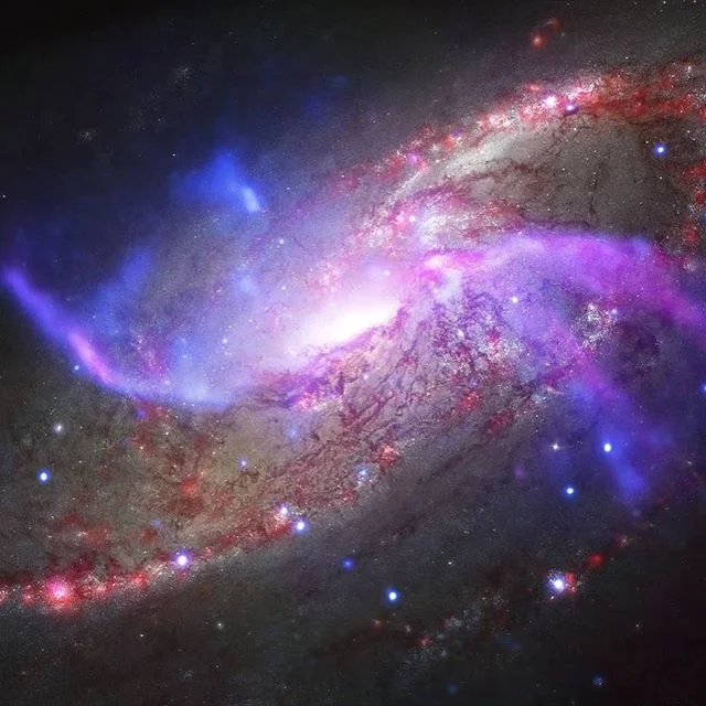 Галактика NGC 4258 в 23 млн световых лет от Земли