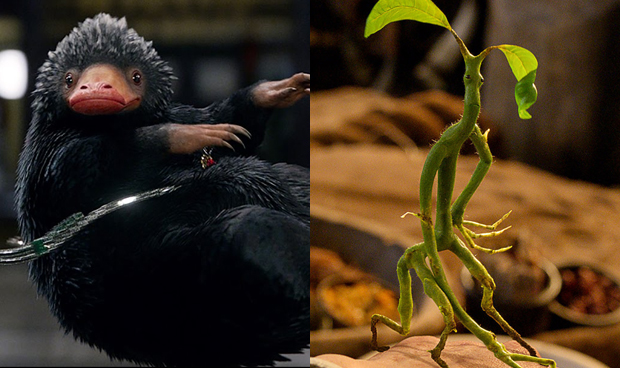 Новые подробности «Фантастических тварей 2»: арты, детали сюжета, актерский состав - изображение 7 Новые подробности «Фантастических тварей 2»: арты, детали сюжета, актерский состав - фото 7