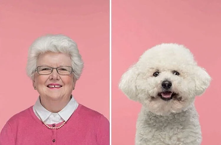 Фотограф делает снимки людей и собак, которые выглядят как двойники - фото 3