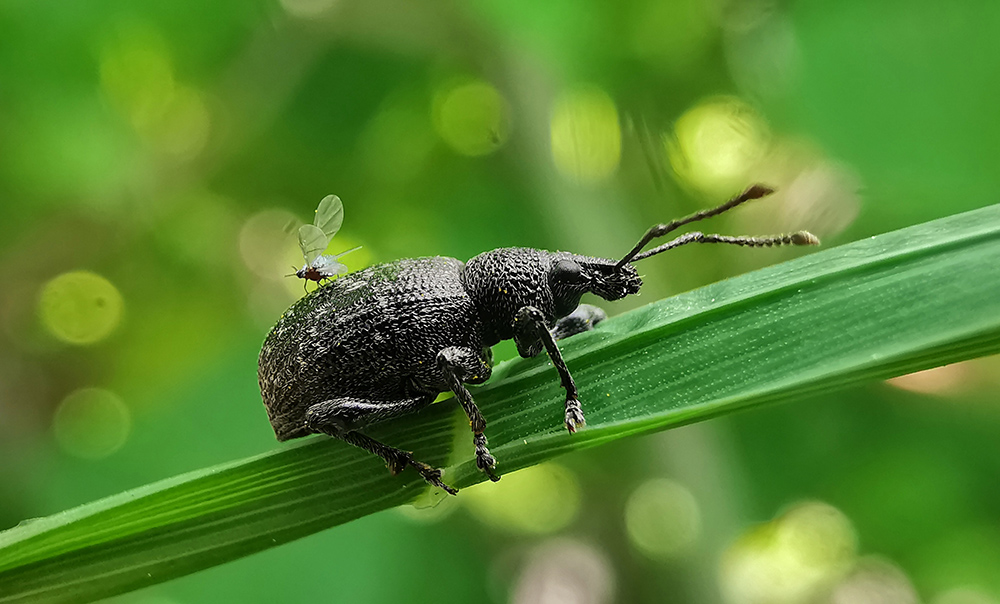 Снято на Huawei Mate 20 Pro