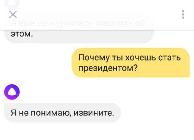 Она вам точно не Димон! Нейросеть «Алиса» подала заявку на участие в выборах 2018 года - фото 2