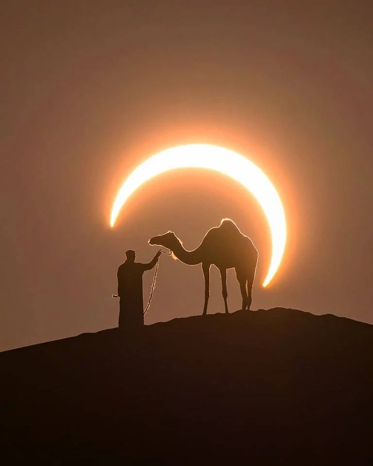 15 удивительных фотографий последнего солнечного затмения в 2019 году - фото 9