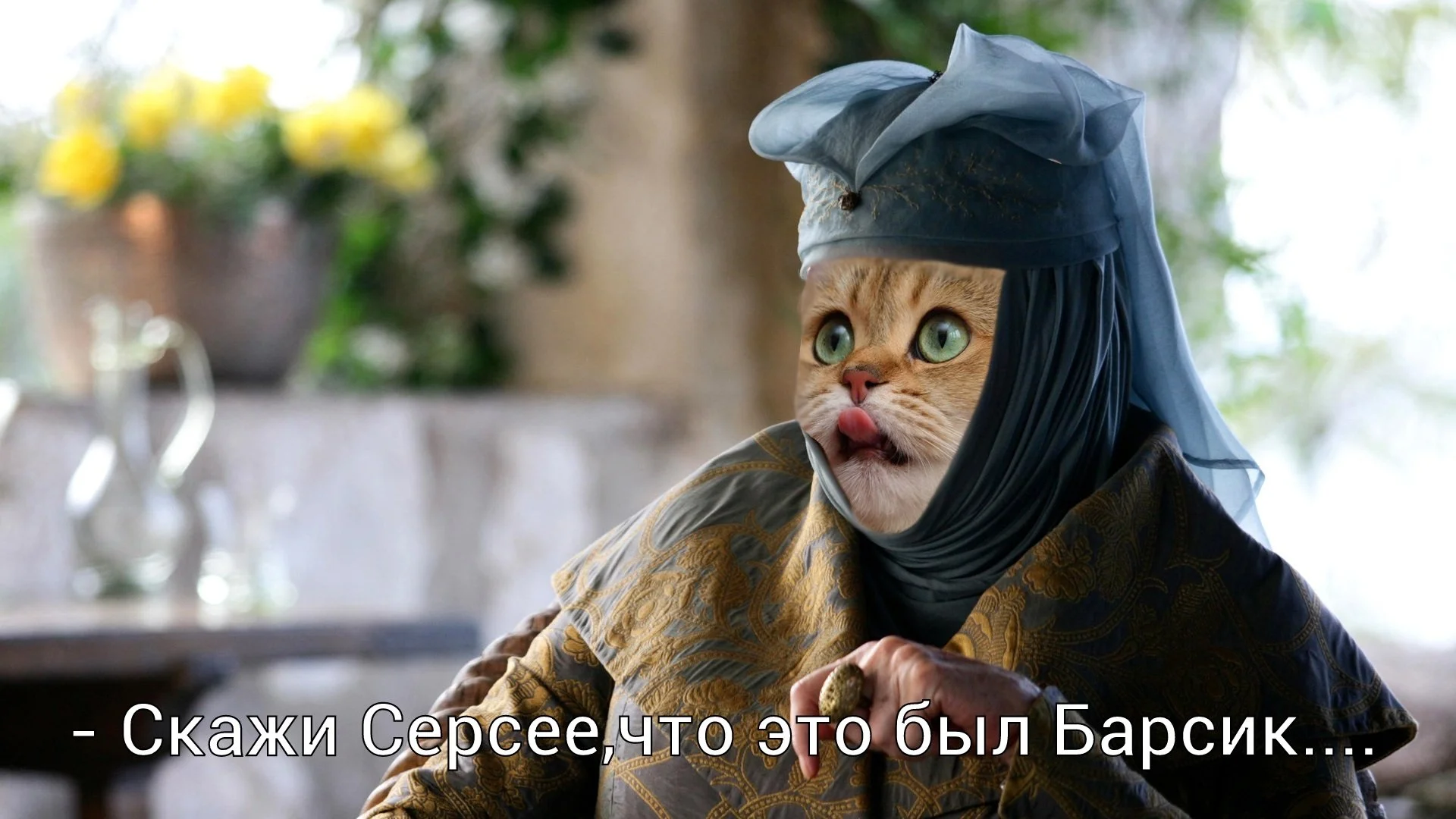 Оленна Тирелл из «Игры престолов» стала героем нового мема с котами - фото 11