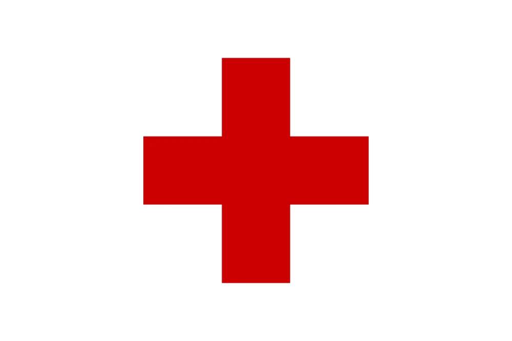 Красный Крест и киберспортивная организация объединились для борьбы с одиночеством - фото 1