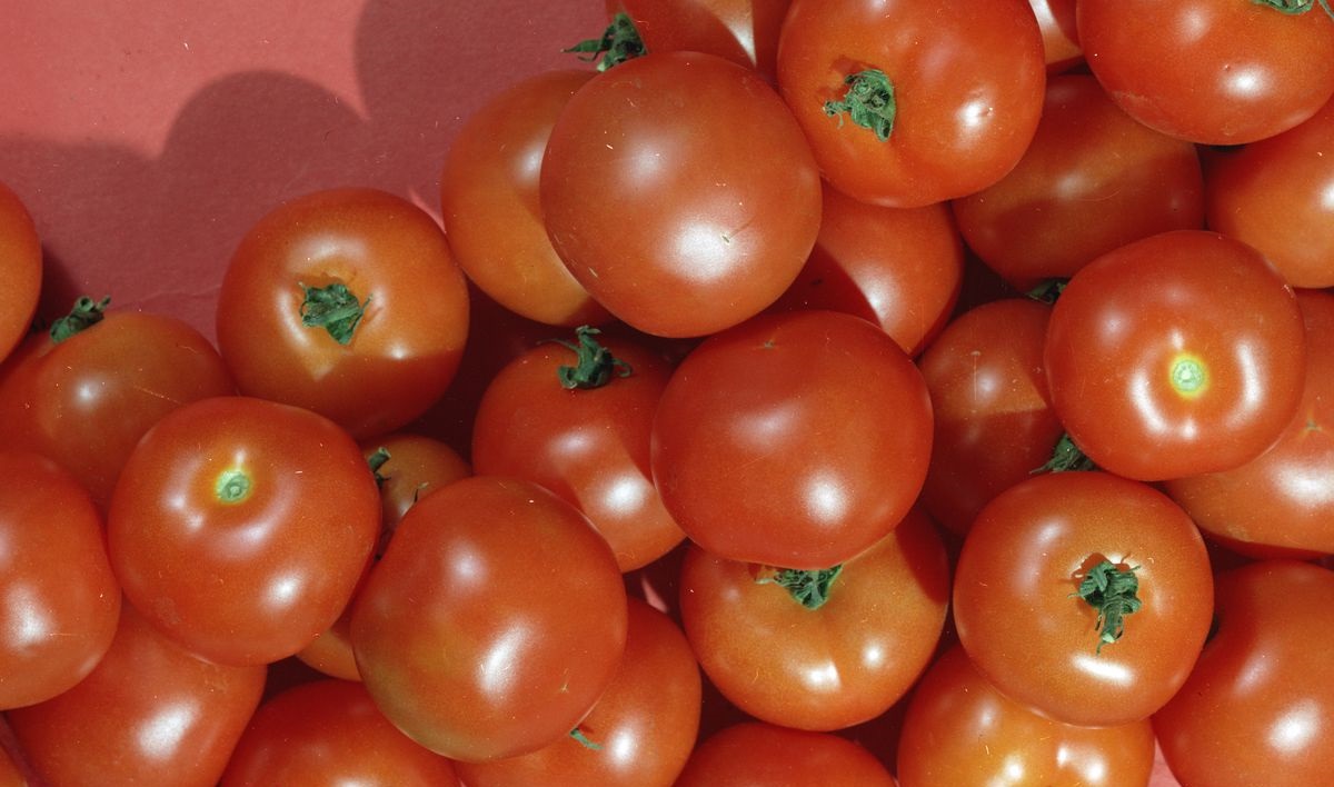 Хочешь написать отзыв — покажи билет. Rotten Tomatoes меняет систему - фото 1