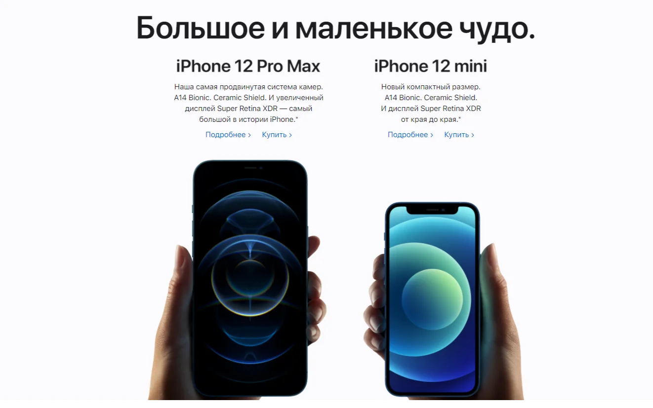 В России начались продажи iPhone 12 Pro Max и iPhone 12 mini - фото 1