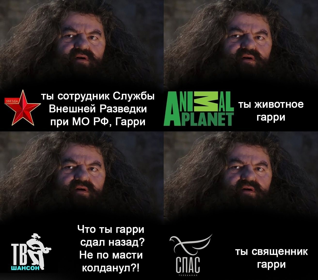 «Ты вор в законе, Гарри»: что если Гарри Поттера сняли бы другие киностудии - фото 2