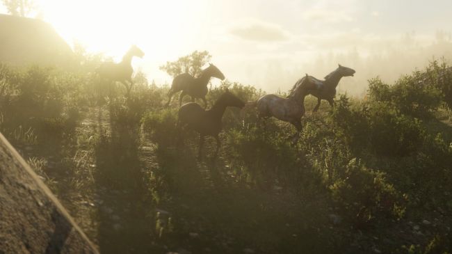 В Red Dead Redemption 2 игрок может сократить популяцию животных — и много других подробностей - изображение 4 В Red Dead Redemption 2 игрок может сократить популяцию животных — и много других подробностей - фото 4