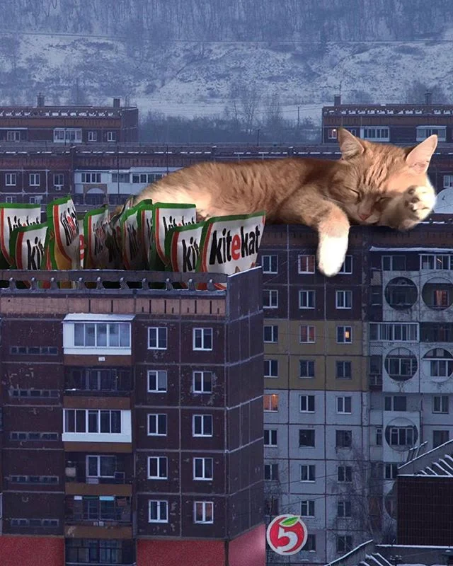 Панельные дома спальных микрорайонов стали героями необычных картин в Instagram - фото 2