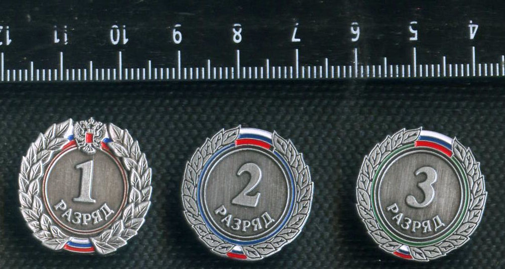 Учащиеся курских школ стали первыми киберспортсменами, получившими спортивные разряды - фото 1