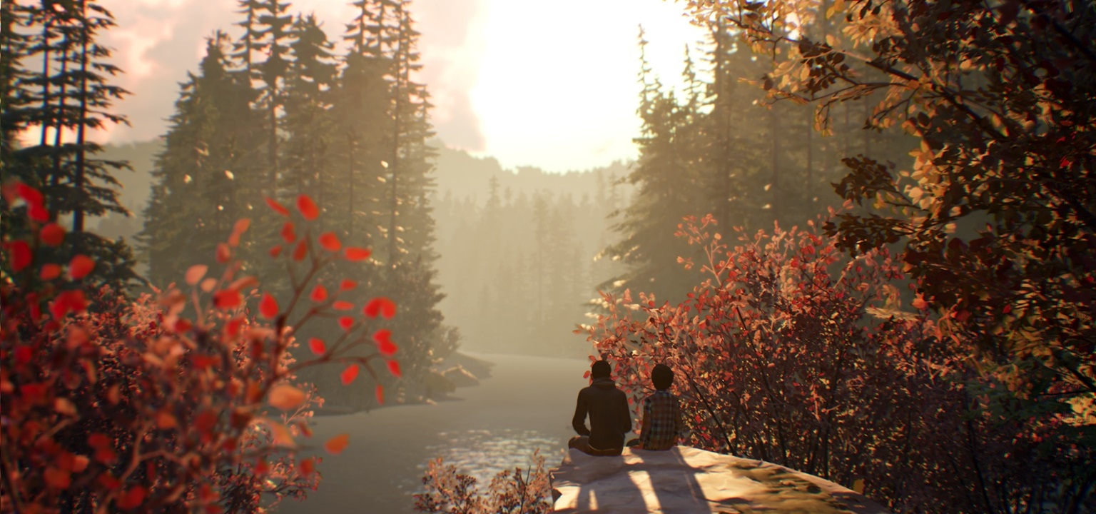 26 сентября вышел первый из пяти эпизодов Life is Strange 2 — продолжение серии интерактивных фильмов Dontnod о подростках с необычными способностями. Это другая история с новыми персонажами, где места Хлои и Макс заняли братья Шон и Дэниел, а сюжет со школьной драмы переключился на политику. Которая, впрочем, пока все только портит.