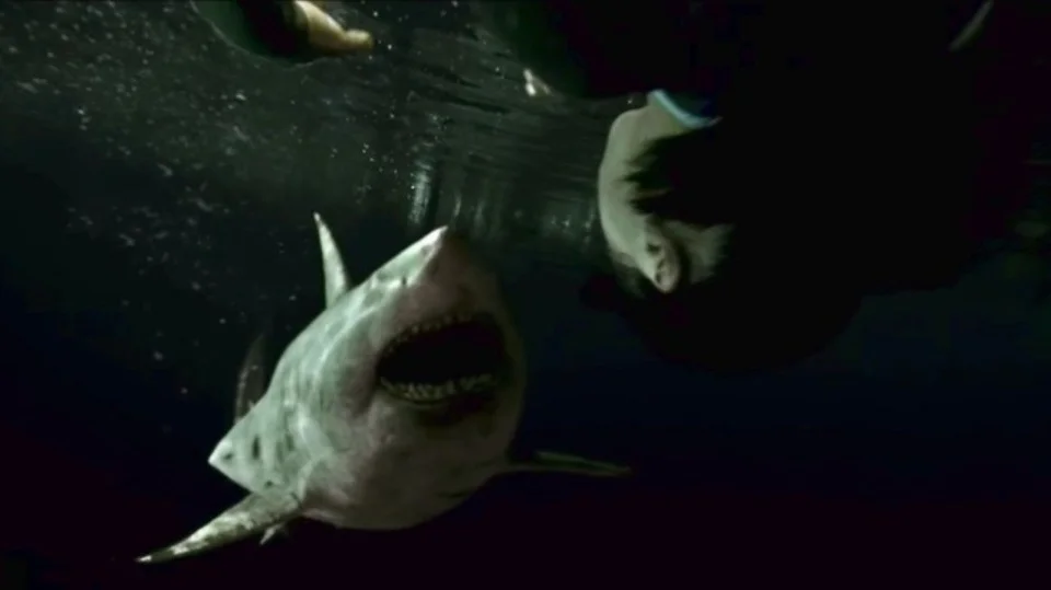 Слепая ярость белой акулы. Что не так с «Синей бездной 2» - фото 3