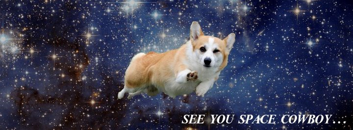 Секреты создателя Cowboy Bebop: почему Айн — корги, и когда же выйдет боевик про танго? - фото 4