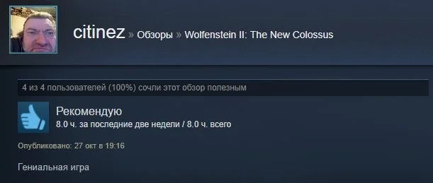 «Гениальная игра»: первые отзывы игроков на Wolfenstein 2: The New Colossus в Steam - фото 10