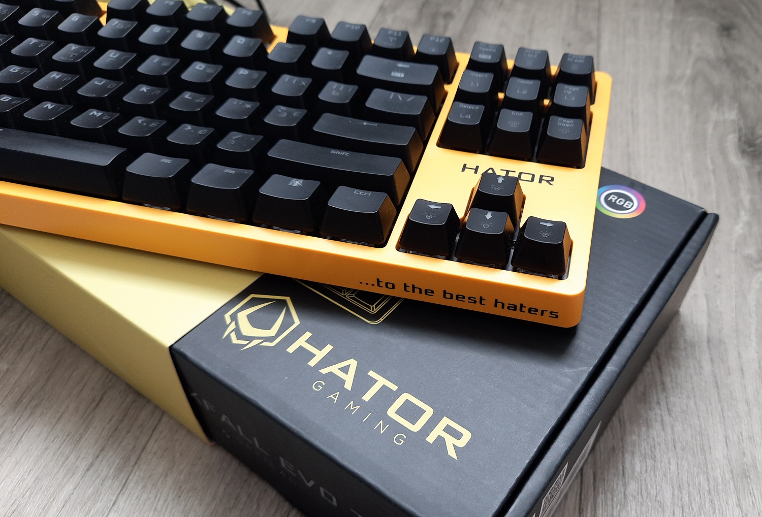 На обзор в «Канобу» попала Hator Rockfall EVO TKL — бюджетная игровая оптическая клавиатура без цифрового блока. О его отсутствии сообщают три буквы TKL в названии. Модель зарекомендовала себя, как доступный и стильный вариант, да еще и с оптическими свичами. Что это, для чего нужно и кому подойдет, читайте в обзоре.
