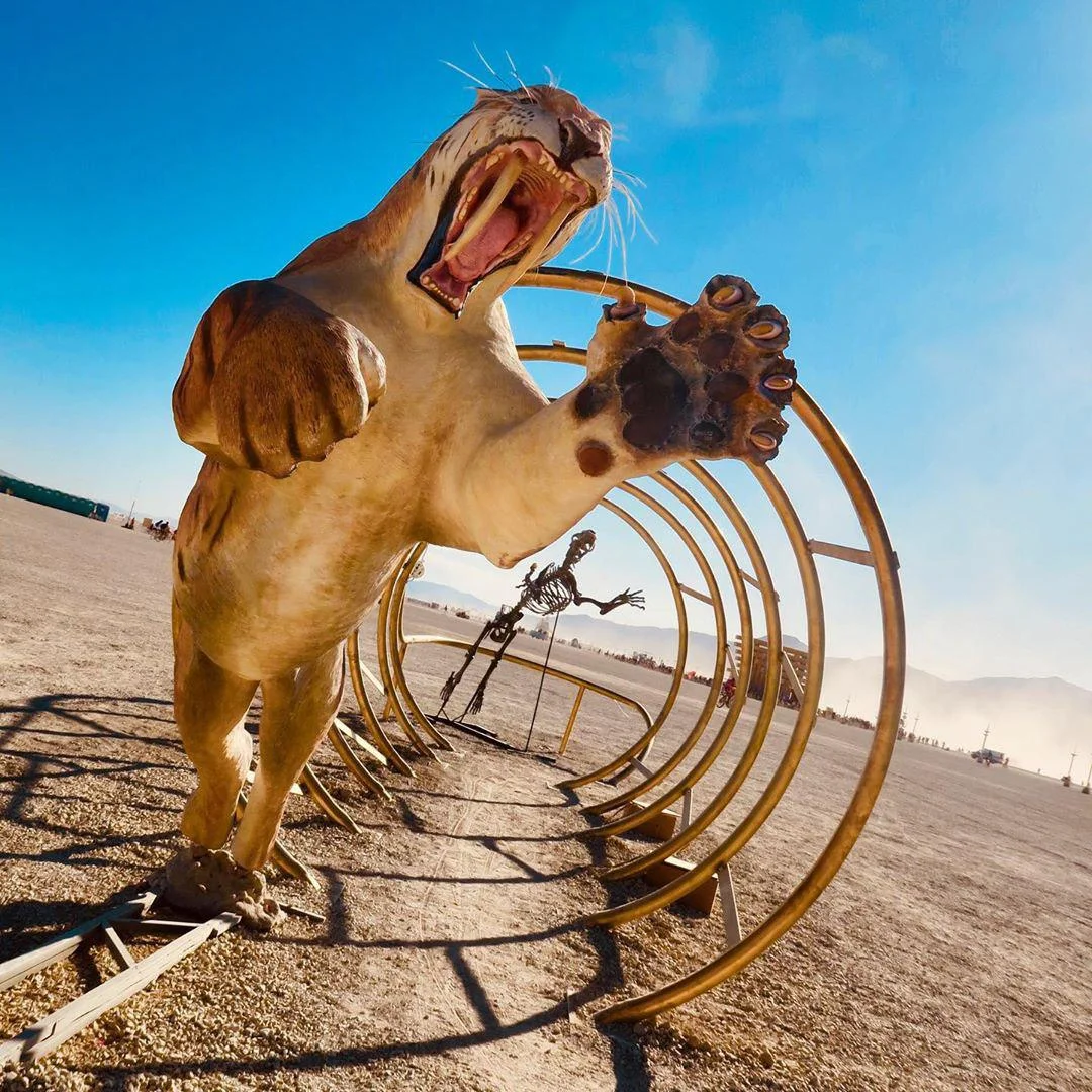 Как прошел Burning Man 2019 в фотографиях - фото 10
